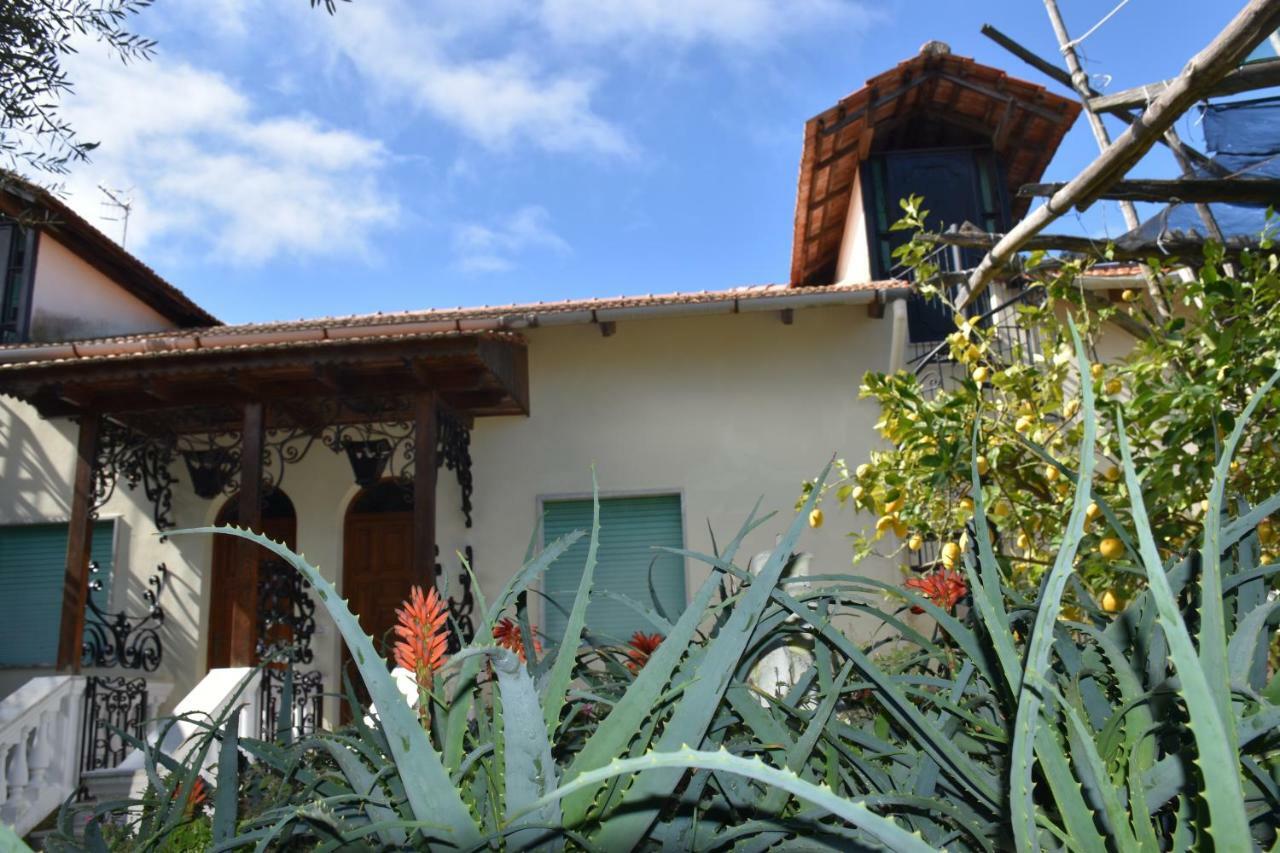Casa Dei Limoni Apartment Massa Lubrense Exterior photo