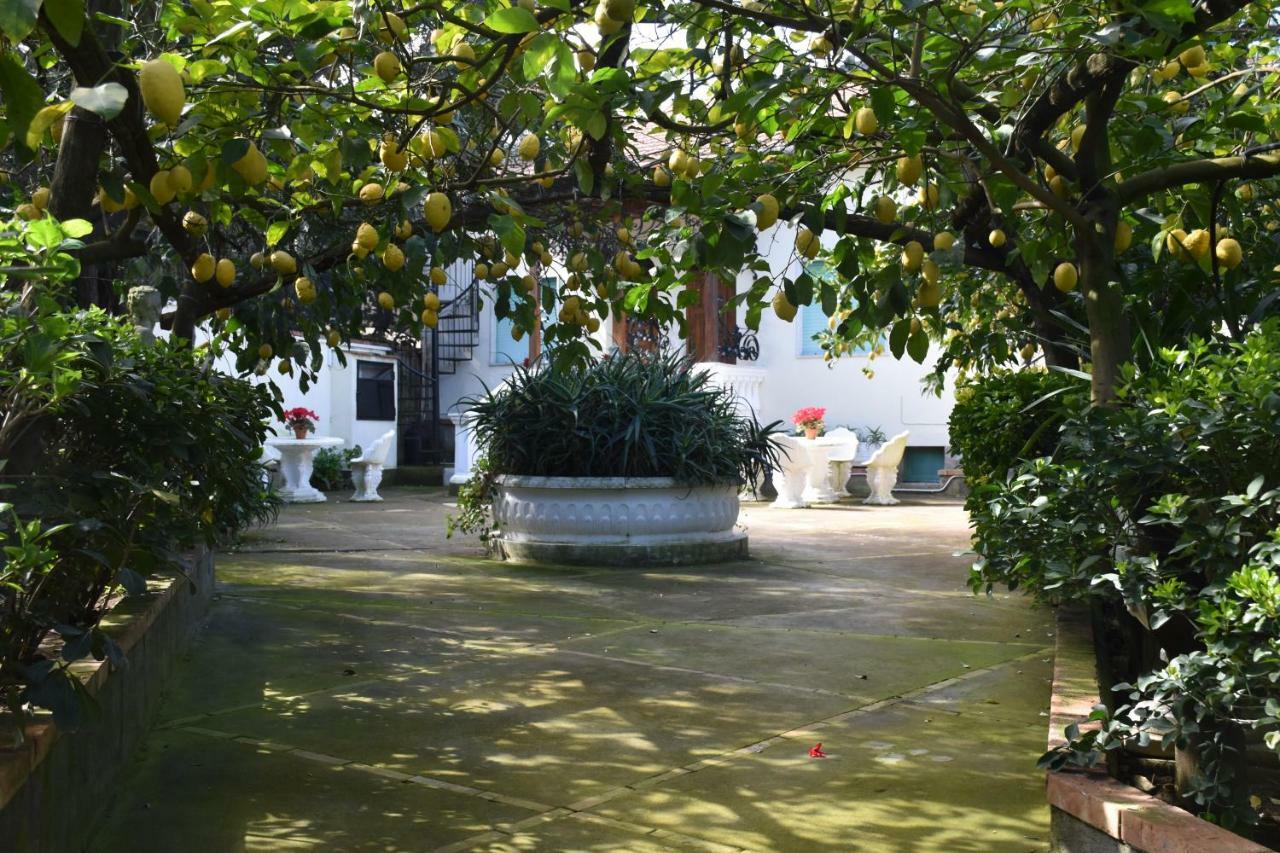 Casa Dei Limoni Apartment Massa Lubrense Exterior photo